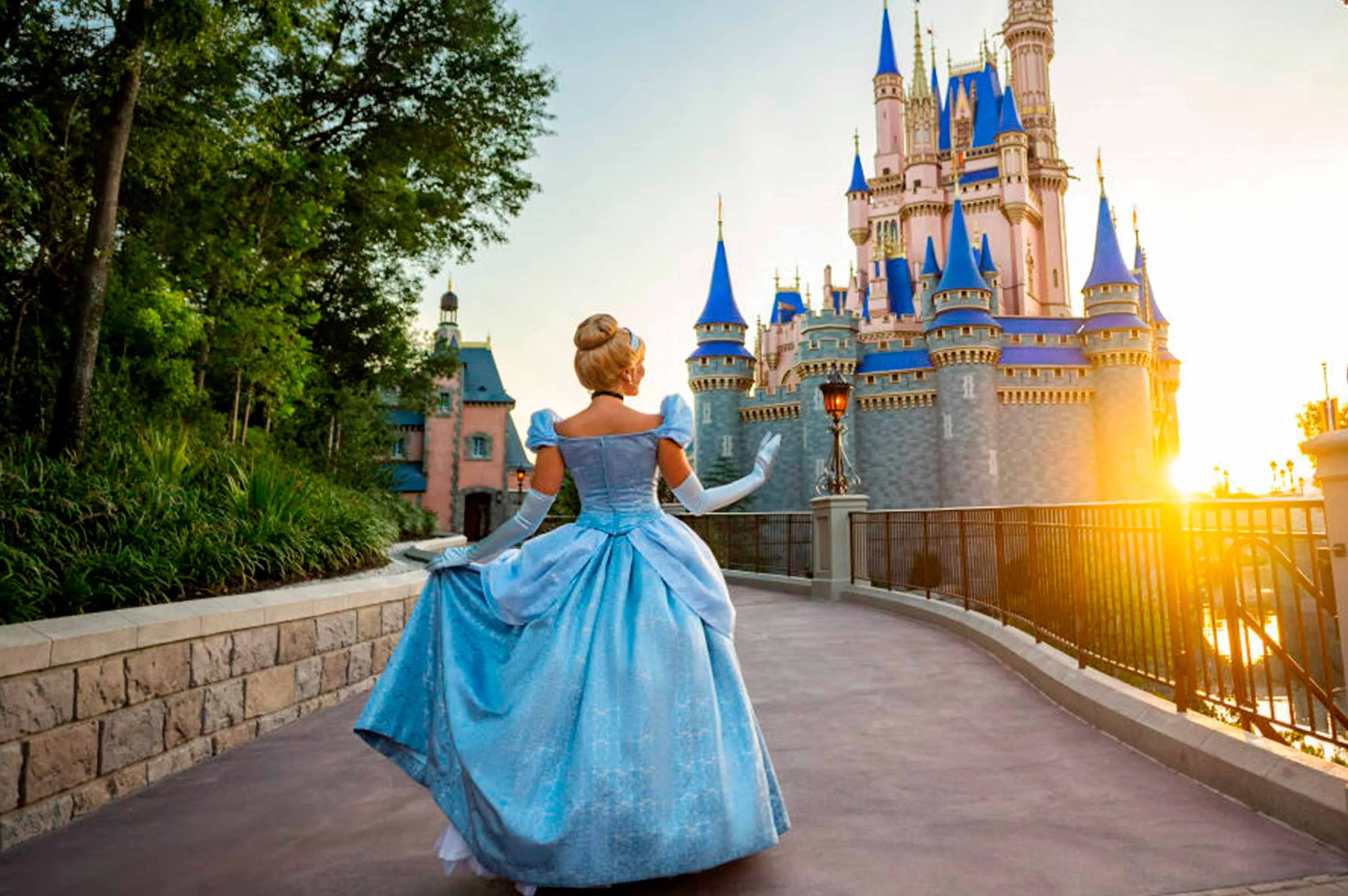 Theme Parks & Hotels